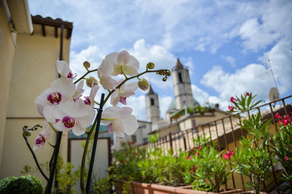 Di Sabatino Resort - Suite Apartments&Spa Ascoli Piceno Esterno foto
